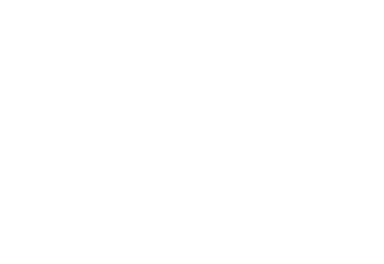 Artvark